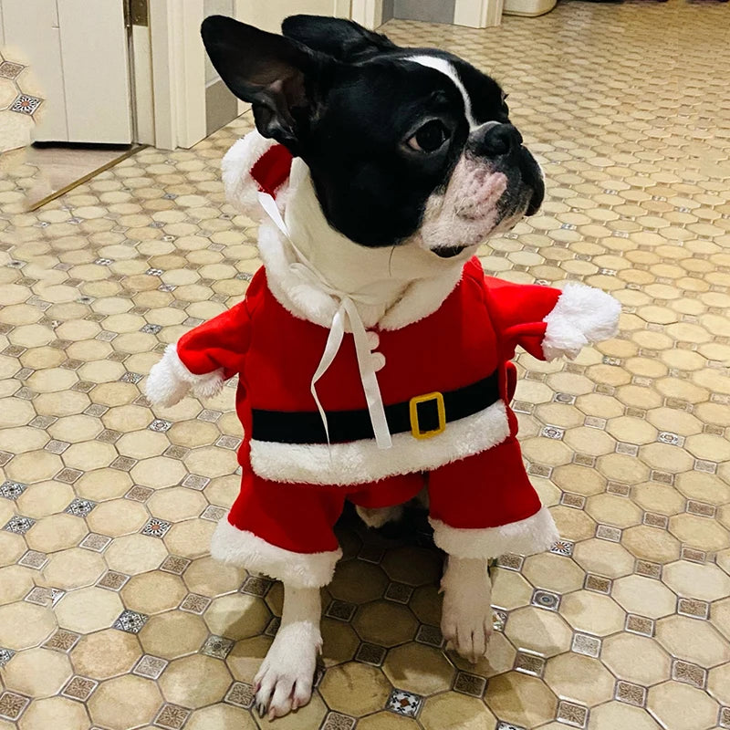 Fantasia de Cachorro de Natal Para Cães Pequenos Gato Engraçado Papai Noel Roupas de Cosplay Macacão Filhote de Cachorro Chihuahua Yorkshire Pet Supplies Party