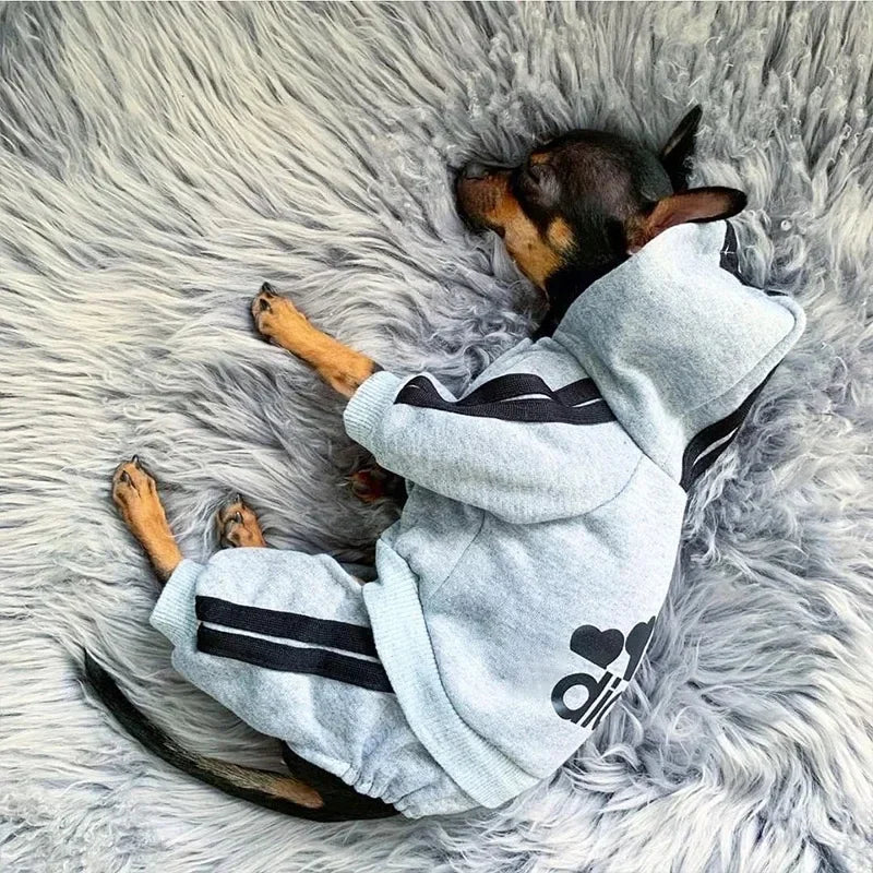 Roupas para animais de estimação Buldogue francês Filhote de cachorro Macacão para animais de estimação Chihuahua Pug Animais de estimação Roupas para cães pequenos e médios Roupa para filhotes de cachorro