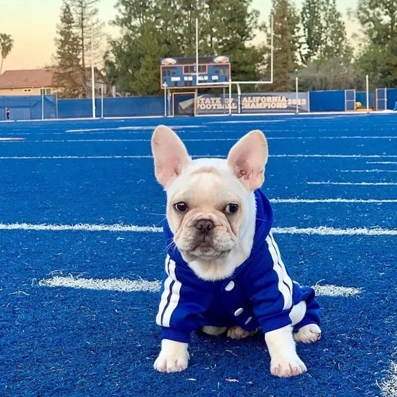 Roupas para animais de estimação Buldogue francês Filhote de cachorro Macacão para animais de estimação Chihuahua Pug Animais de estimação Roupas para cães pequenos e médios Roupa para filhotes de cachorro